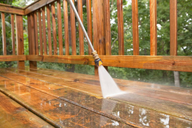Best Soft Washing for Delicate Surfaces in Shamokin, PA